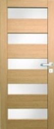 Interiérové dveře Vasco Doors Santiago - obrázek č. 1
